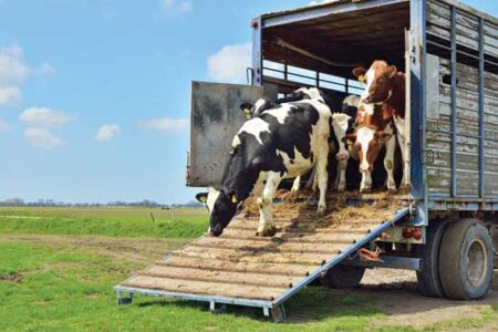 Invest in Hired Help for Your Farm Image